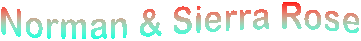 WELCOME TO OUR SITE